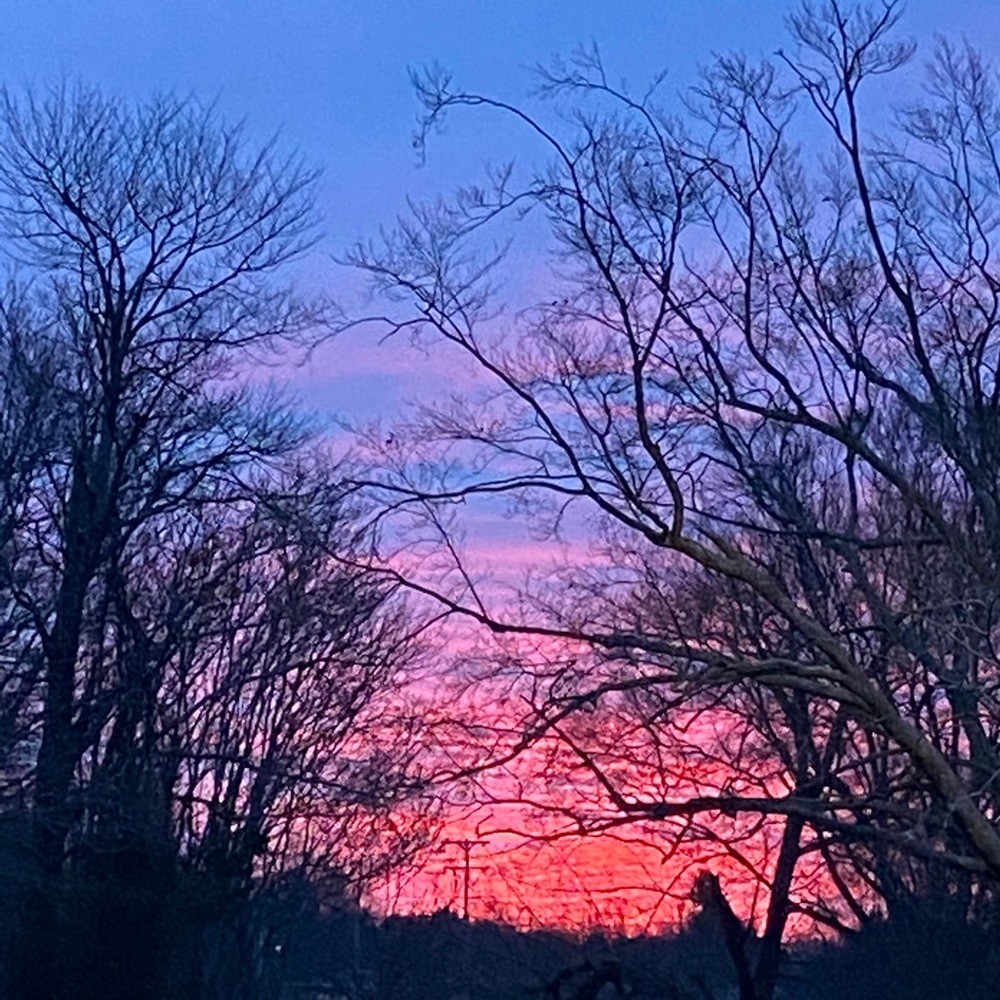 Selling 2020 so we can move onto 2021